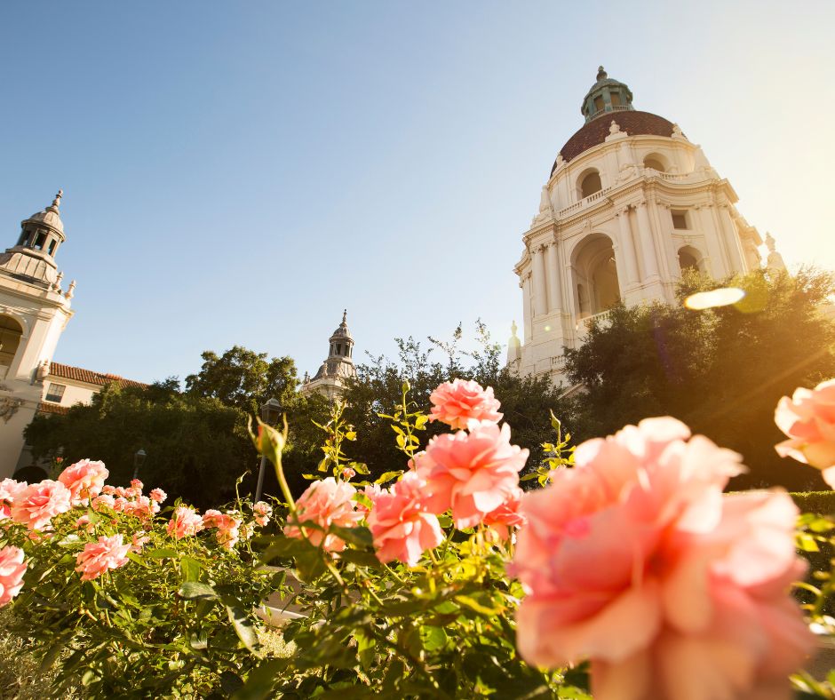 Ground View of Pasadena City Hall with Roses in forefront.